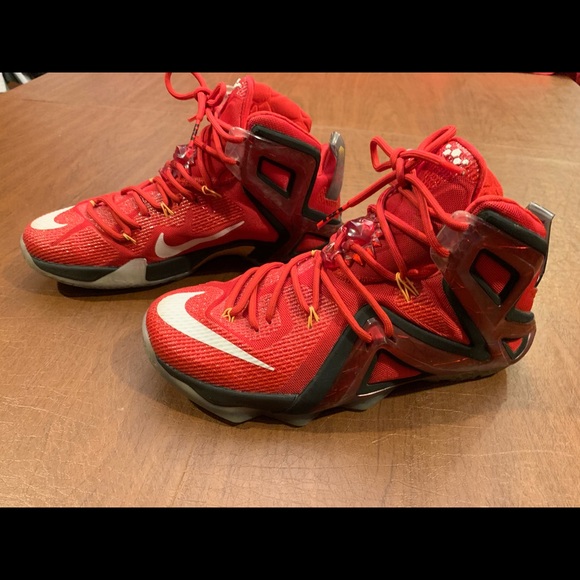 lebron 12 elite team